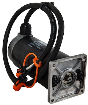 Replacement Motor for SaltDogg Gearbox 3030222